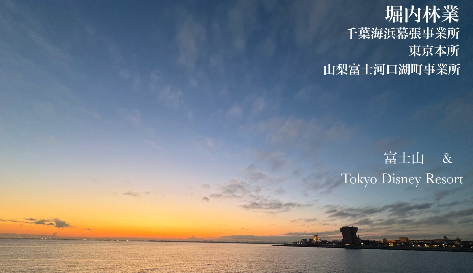 造園業、外構施工、林業　東京&nbsp;/&nbsp;千葉&nbsp;/&nbsp;山梨 / 静岡