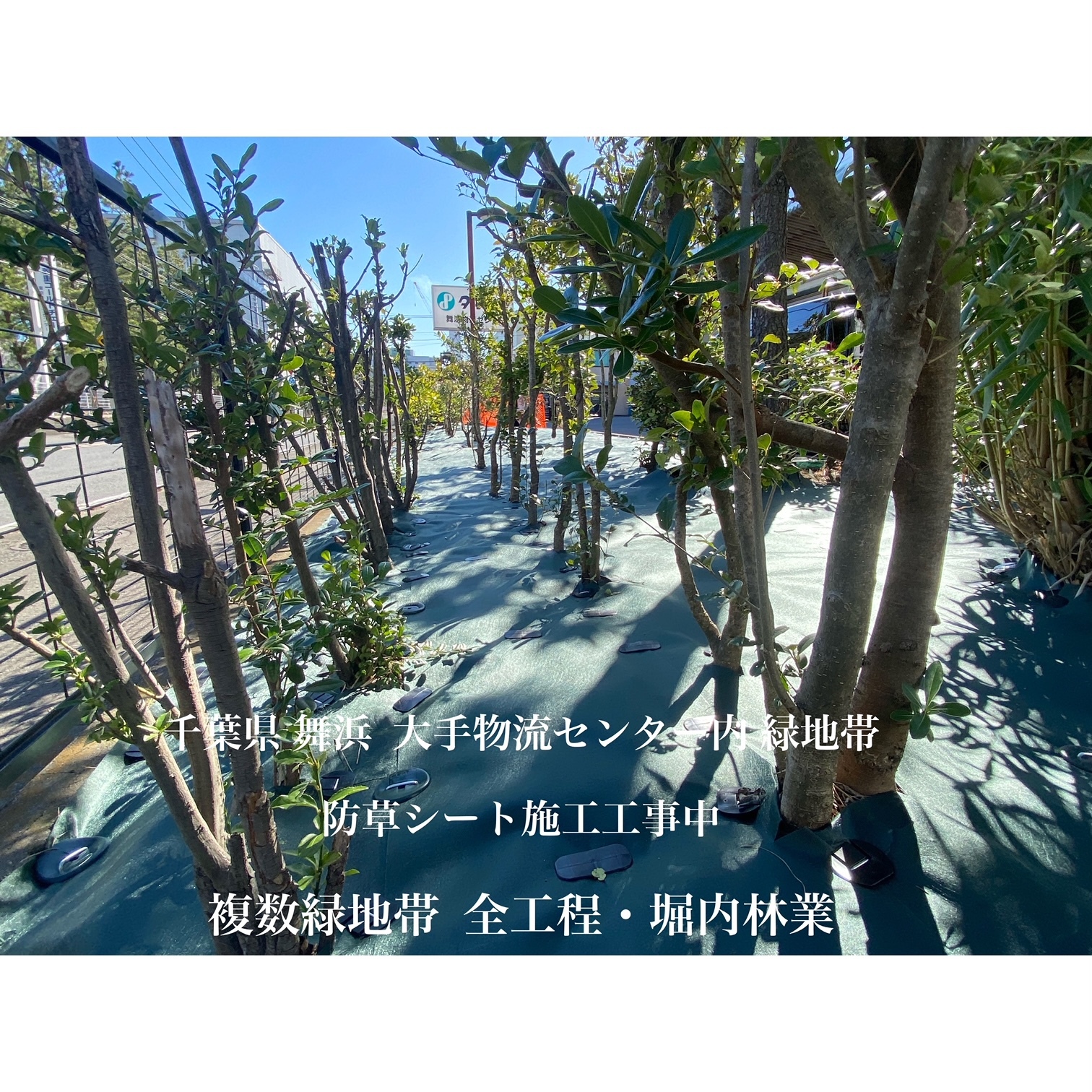 物流センター緑地帯での防草シート施工例