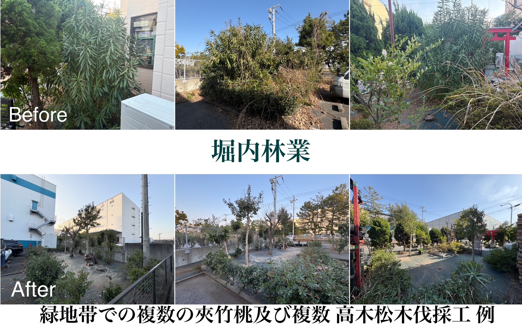 緑地帯での防草シート施工及び夾竹桃と松の特殊伐採例